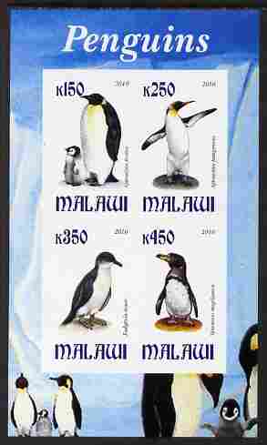 Malawi 2010 Penguins imperf sheetlet containing 4 values unmounted mint, stamps on polar, stamps on penguins, stamps on birds