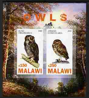Malawi 2010 Owls imperf sheetlet containing 2 values unmounted mint, stamps on , stamps on  stamps on owls, stamps on  stamps on birds of prey, stamps on  stamps on birds