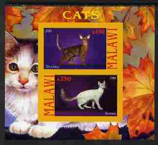 Malawi 2010 Domestic Cats #02 imperf sheetlet containing 2 values unmounted mint, stamps on cats