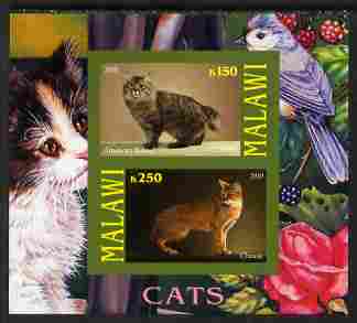 Malawi 2010 Domestic Cats #03 imperf sheetlet containing 2 values unmounted mint, stamps on cats