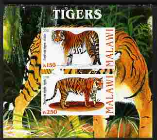 Malawi 2010 Tigers imperf sheetlet containing 2 values unmounted mint, stamps on , stamps on  stamps on cats, stamps on  stamps on tigers, stamps on  stamps on lions