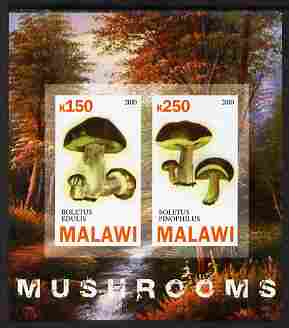 Malawi 2010 Mushrooms imperf sheetlet containing 2 values unmounted mint, stamps on , stamps on  stamps on fungi