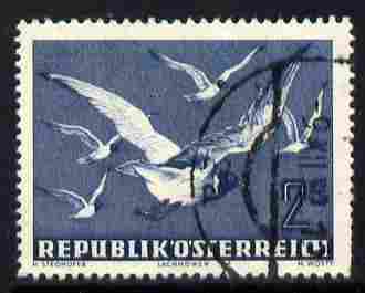Austria 1950-53 Birds 2s Black-Headed Gulls fine cds used, SG 1217, stamps on birds, stamps on gulls