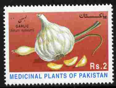 Pakistan 1997 Medicinal Plants - 5th series 2r Garlic unmounted mint SG 1026, stamps on medical, stamps on herbs, stamps on spices, stamps on medicinal plants