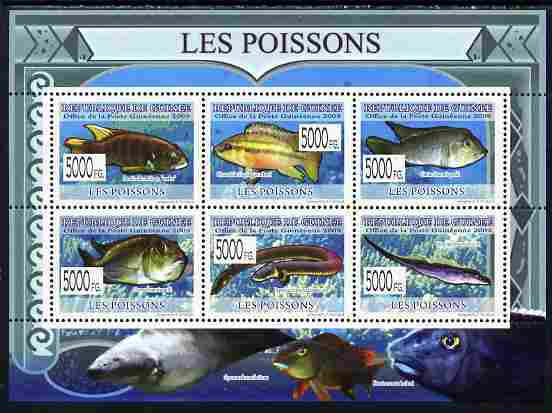 Guinea - Conakry 2009 Fish perf sheetlet containing 6 values unmounted mint, stamps on , stamps on  stamps on fish