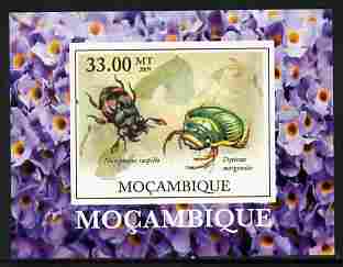 Mozambique 2009 William Kirby Butterflies & Insects #5 individual imperf deluxe sheetlet unmounted mint. Note this item is privately produced and is offered purely on its thematic appeal , stamps on butterflies, stamps on insects
