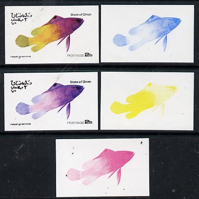 Oman 1974 Tropical Fish 2b (Royal Gramma) set of 5 imperf progressive colour proofs comprising 3 individual colours (red, blue & yellow) plus 3 and all 4-colour composites unmounted mint, stamps on , stamps on  stamps on fish     marine-life