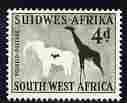 South West Africa 1954 White Elephant & Giraffe Rock Painting 4d from def set unmounted mint, SG 157, stamps on animals, stamps on elephants, stamps on giraffes, stamps on arts