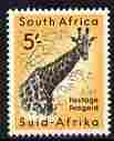 South Africa 1954 Giraffe 5s (from def set) unmounted mint, SG 163, stamps on animals, stamps on giraffes