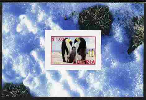 Liberia 2000 Penguins imperf s/sheet unmounted mint, stamps on birds, stamps on penguins, stamps on polar