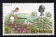 St Helena 1968 Scrubwood & Pest Control 2d (from def set) unmounted mint, SG 229, stamps on insects, stamps on trees, stamps on 
