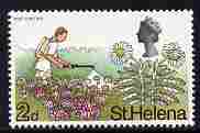 St Helena 1968 Scrubwood & Pest Control 2d (from def set) unmounted mint, SG 229, stamps on , stamps on  stamps on insects, stamps on  stamps on trees, stamps on  stamps on 