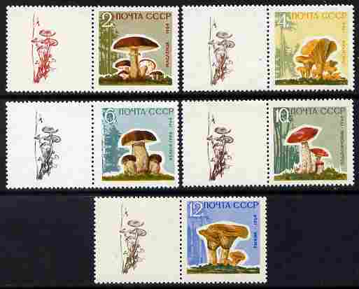 Russia 1964 Mushrooms perf set of 5 on varnished paper each se-tenant with label depicting a mushroom, unmounted mint SG 3058b-62b, stamps on , stamps on  stamps on fungi   