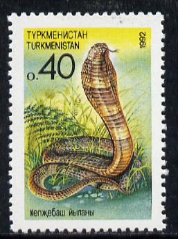 Turkmenistan 1992 Cobra (0.40 value) unmounted mint SG 3*, stamps on reptiles, stamps on animals, stamps on snakes, stamps on snake, stamps on snakes, stamps on 