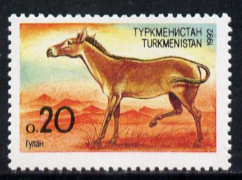 Turkmenistan 1992 Horse (0.20 value) unmounted mint SG 2*, stamps on animals    horses
