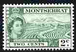 Montserrat 1953-62 QEII Sea Island Cotton 2c green unmounted mint SG 138, stamps on cotton, stamps on textiles