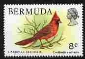 Bermuda 1978 Common Cardinal 8c unmounted mint, SG 391, stamps on , stamps on  stamps on birds