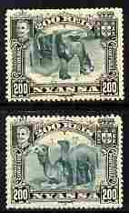 Nyassa Company 1901 Dromedaries 200r with inverted centre plus normal both mounted mint, SG 38a