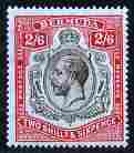 Bermuda 1918-22 KG5 2s6d black & red on blue MCA virtually unmounted mint SG 52