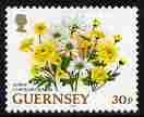 Guernsey 1992-97 Flowers definitive 30p Spray Chrysanthemum unmounted mint SG 578, stamps on flowers