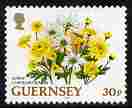 Guernsey 1992-97 Flowers definitive 30p Spray Chrysanthemum unmounted mint SG 578, stamps on flowers