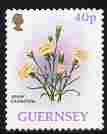 Guernsey 1992-97 Flowers definitive 40p Spray Carnation unmounted mint SG 579, stamps on flowers