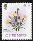 Guernsey 1992-97 Flowers definitive 40p Spray Carnation unmounted mint SG 579, stamps on , stamps on  stamps on flowers