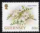 Guernsey 1992-97 Flowers definitive 50p Freesia unmounted mint SG 580, stamps on , stamps on  stamps on flowers