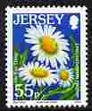 Jersey 2005-07 Flower definitives 55p Ox Eye Daisy unmounted mint, SG 1224, stamps on flowers