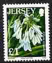 Jersey 2005-07 Flower definitives £1 Three Cornered Garlic unmounted mint, SG 1232, stamps on flowers