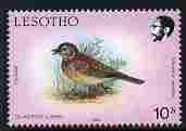 Lesotho 1988 Birds 10s Clapper Lark unmounted mint, SG 794, stamps on birds