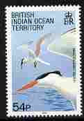 British Indian Ocean Territory 1990 Birds 54p lesser Crested Tern unmounted mint SG 97, stamps on birds