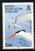 British Indian Ocean Territory 1990 Birds 54p lesser Crested Tern unmounted mint SG 97, stamps on , stamps on  stamps on birds