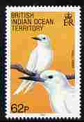 British Indian Ocean Territory 1990 Birds 62p White Tern unmounted mint SG 98, stamps on birds