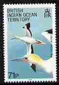 British Indian Ocean Territory 1990 Birds 71p Red-footed Booby unmounted mint SG 99, stamps on birds