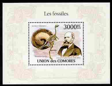 Comoro Islands 2010 Fossils perf m/sheet unmounted mint, stamps on , stamps on  stamps on fossils, stamps on  stamps on dinosaurs