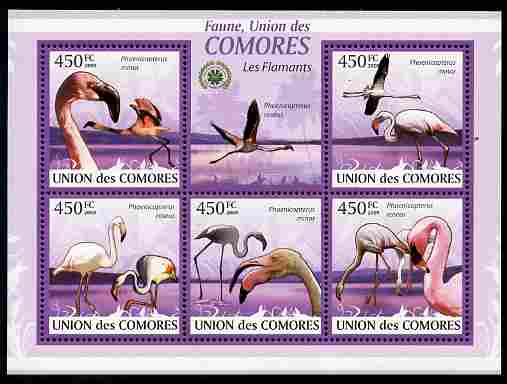 Comoro Islands 2009 Flamingos perf sheetlet containing 5 values unmounted mint Michel 2402-06, stamps on , stamps on  stamps on birds, stamps on  stamps on flamingoes