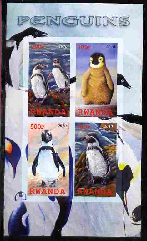 Rwanda 2010 Penguins imperf sheetlet containing 4 values unmounted mint, stamps on , stamps on  stamps on birds, stamps on  stamps on penguins