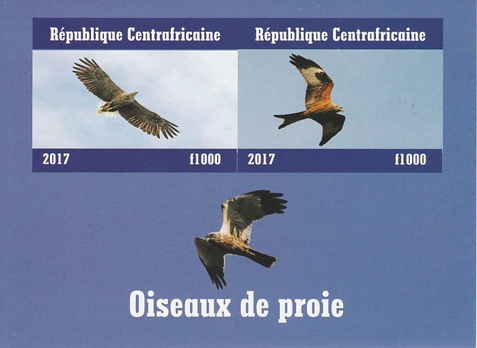 Central African Republic 2017 Birds of Prey #1 imperf sheetlet containing 2 values unmounted mint. Note this item is privately produced and is offered purely on its thematic appeal, stamps on , stamps on  stamps on birds, stamps on  stamps on prey