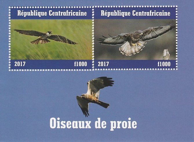 Central African Republic 2017 Birds of Prey #2 perf sheetlet containing 2 values unmounted mint. Note this item is privately produced and is offered purely on its thematic appeal, stamps on , stamps on  stamps on birds, stamps on  stamps on prey