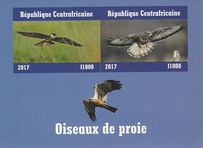 Central African Republic 2017 Birds of Prey #2 imperf sheetlet containing 2 values unmounted mint. Note this item is privately produced and is offered purely on its thematic appeal, stamps on , stamps on  stamps on birds, stamps on  stamps on prey