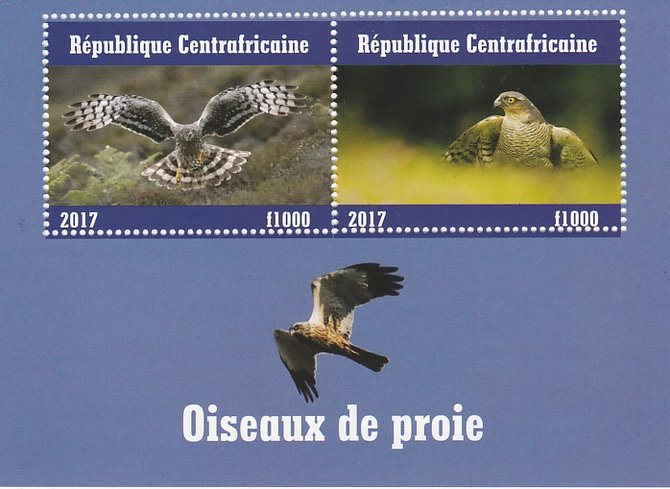 Central African Republic 2017 Birds of Prey #3 perf sheetlet containing 2 values unmounted mint. Note this item is privately produced and is offered purely on its thematic appeal, stamps on , stamps on  stamps on birds, stamps on  stamps on prey