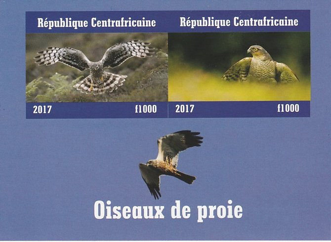 Central African Republic 2017 Birds of Prey #3 imperf sheetlet containing 2 values unmounted mint. Note this item is privately produced and is offered purely on its thematic appeal, stamps on , stamps on  stamps on birds, stamps on  stamps on prey