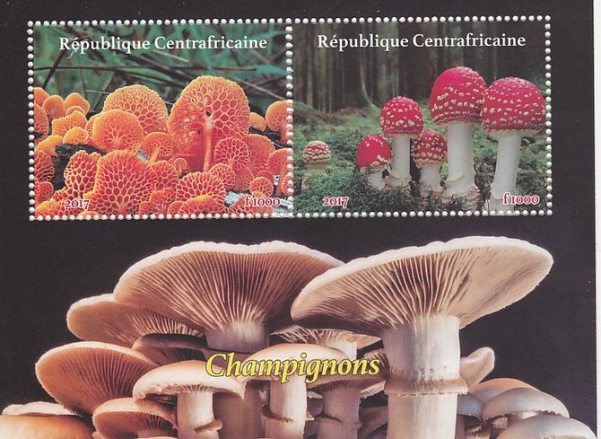 Central African Republic 2017 Fungi perf sheetlet containing 2 values unmounted mint. Note this item is privately produced and is offered purely on its thematic appeal, stamps on , stamps on  stamps on fungi