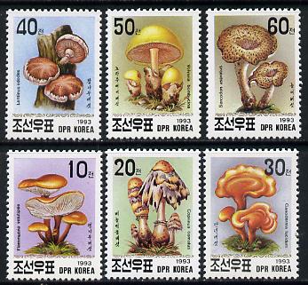 North Korea 1993 Fungi complete perf set of 6 unmounted mint, SG N3227-32*, stamps on , stamps on  stamps on fungi