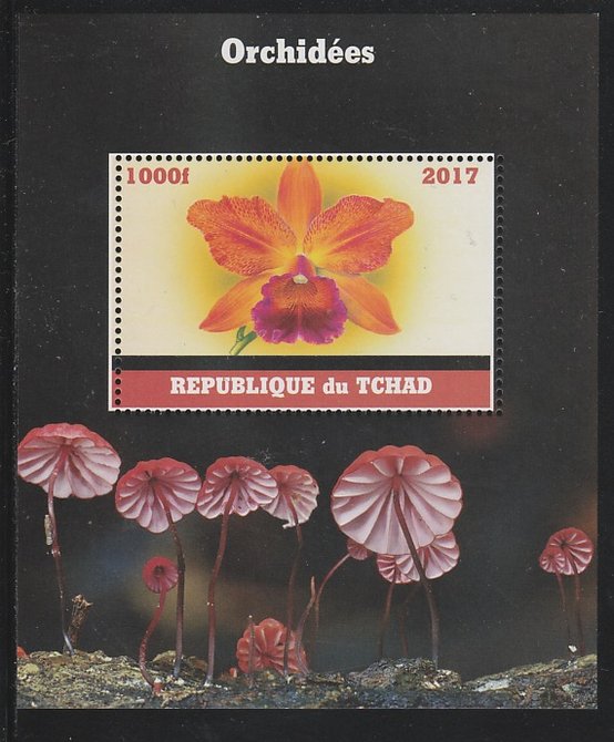 Chad 2017 Orchids perf s/sheet containing 1 value unmounted mint. Note this item is privately produced and is offered purely on its thematic appeal. . , stamps on flowers, stamps on orchids