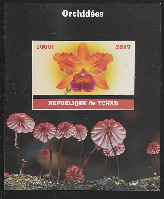 Chad 2017 Orchids imperf s/sheet containing 1 value unmounted mint. Note this item is privately produced and is offered purely on its thematic appeal. . , stamps on flowers, stamps on orchids