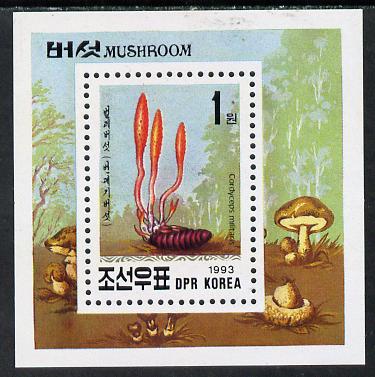 North Korea 1993 Fungi m/sheet (1wn value) unmounted mint, stamps on , stamps on  stamps on fungi