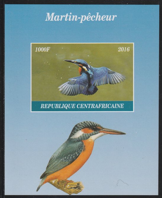 Central African Republic 2016 Kingfisher imperf s/sheet containing 1 value unmounted mint. Note this item is privately produced and is offered purely on its thematic appeal, stamps on , stamps on  stamps on birds, stamps on  stamps on kingfisher