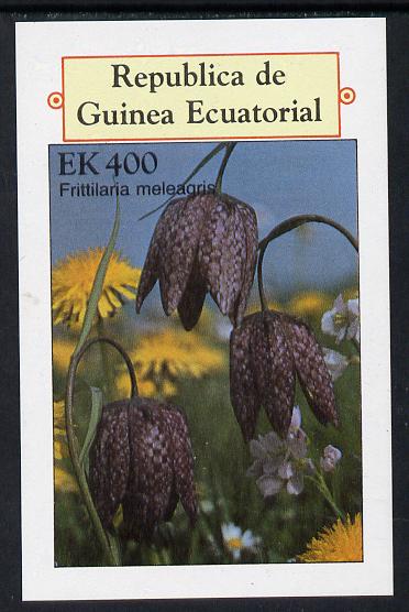 Equatorial Guinea 1977 Flowers 400ek imperf m/sheet unmounted mint, stamps on flowers
